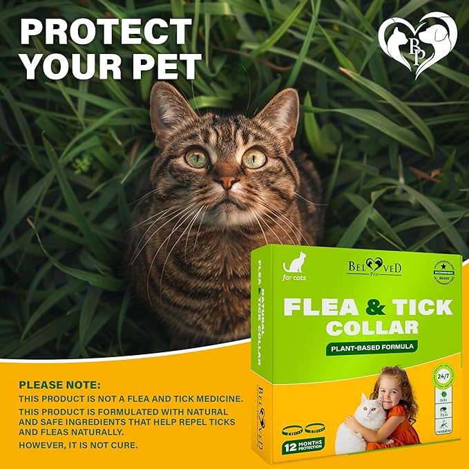 Natural Flea & Tick Collar for Cats - 12 Months Control of Best Prevention & Safe Treatment - Anti Fleas and Ticks Essential Oil Repellent (1 Count)