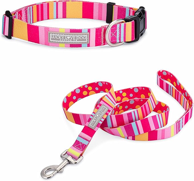 Lucky Love Dog - Easy Click Buckle Dog Collar with Leash Set Combo, Durable & Comfortable for Male & Female Dogs, Pet Collar for Small Dogs, Secure Fit - Molly Combo, Small