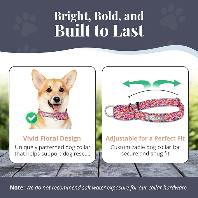 Lucky Love Dog Martingale Dog Collar & Leash - Adjustable, No-Slip, Durable, Comfortable, Soft Webbing, & Stylish Patterned Collar & Leash Set for Male and Female Dogs - Rosie Combo, Small