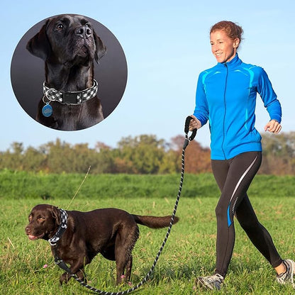 Ladoogo Reflective Dog Collar Padded with Soft Neoprene Breathable Adjustable Nylon Dog Collars for Small Medium Large Dogs (Small (Pack of 1), Black Plaid Collar+Leash)