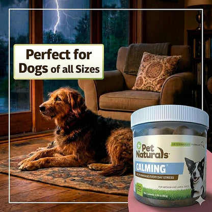 Pet Naturals Calming Chews for Medium and Large Dogs, Anxiety Relief with Gentle Ingredients for Thunder, Fireworks, Barking, Calming Dog Treats, Chicken Flavor, 30 Count