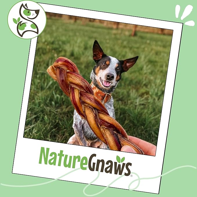 Nature Gnaws Braided Bully Sticks for Dogs 5-6" (3 Count) - Long Lasting for Small and Medium Dogs - Natural Beef Dog Chew Bones - Rawhide Free