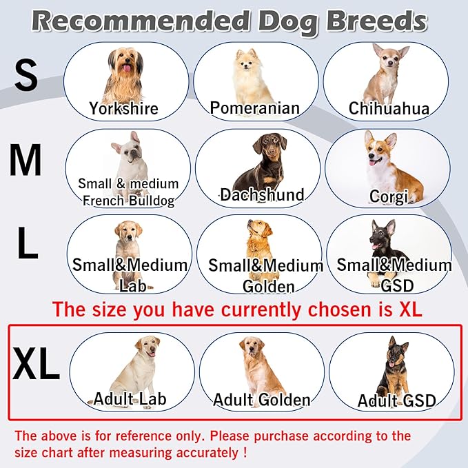 Hard & Heavy Plastic Dog Cone Collar Alternative for Extra Large Dogs (Adult Lab Golden GSD), Adjustable Elizabethan Protective Cone for Healing, Comfortable Recovery Collar Cone of Shame Anti-Lick