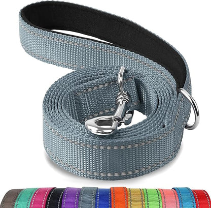 Joytale Dog Leash, 5 FT Double-Sided Reflective, Padded Handle Nylon Heavy Duty Leashes for Small Dogs Walking, Grey