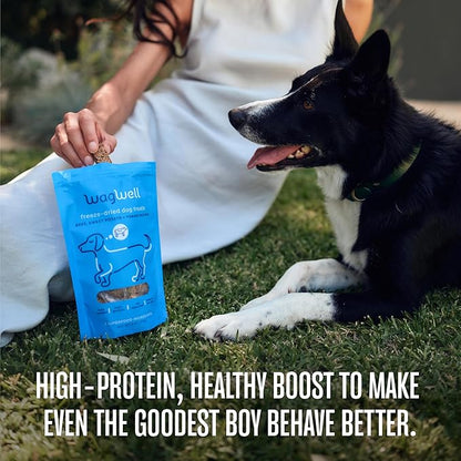 WagWell Freeze Dried Dog Treats, Beef + Yogurt + Sweet Potato Flavor | Training Treats, Food Topper, Healthy Snack for Dogs | Human Grade, Grain Free, High Protein | Made in USA | 4 oz Bag, 1 Pack