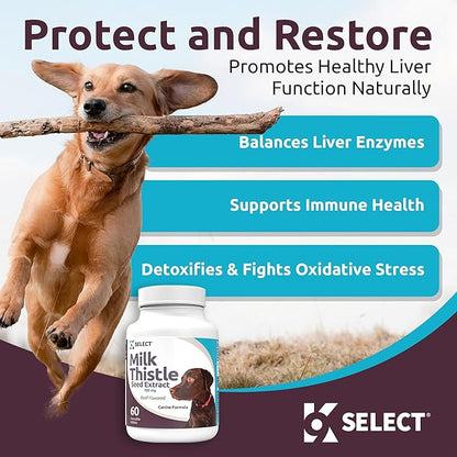 Milk Thistle Dog Liver Supplement 100mg | Liver Support & Detox for Dogs | 60 Beef Flavored Tablets | Canine Liver Health Formula | Natural Milk Thistle for Dogs Liver Support