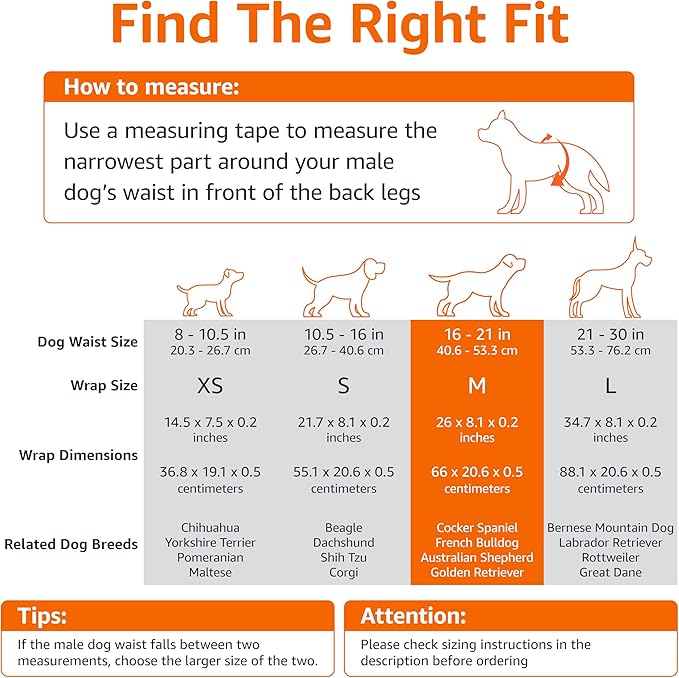 Amazon Basics Male Dog Diapers, Ultra Absorbent Disposable Wrap with Leak Proof Protection, Wetness Indicator, Secure Fit, Breathable, Medium, 30 Count