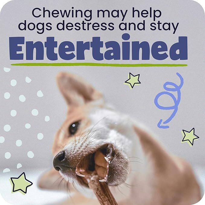 Pawstruck Natural 7” Braided Bully Sticks for Dogs, Tough Long-Lasting, Rawhide-Free, Low Odor, Healthy Single Ingredient Chew Treat for Aggressive Chewers, 10 Count, Packaging May Vary