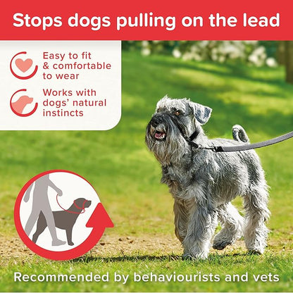 Beaphar | Gentle Leader | Head Collar for Small Dogs | Stops Pulling On The Lead | Training Aid with Immediate Effect | Endorsed by Behaviourists | Black x 1