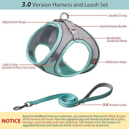 AIITLE Easy Walk Dog Harness and Leash Set - Pet Supply No Pull, Step in Adjustable Pet Harnesses with Padded Vest for Summer, No Choke Over, Easy to Put on Medium Dogs Turquoise L