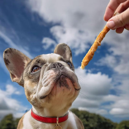 Pet 'n Shape Chik 'n Hide Twists – Chicken Wrapped Rawhide Natural Dog Treats, Small, 16 oz