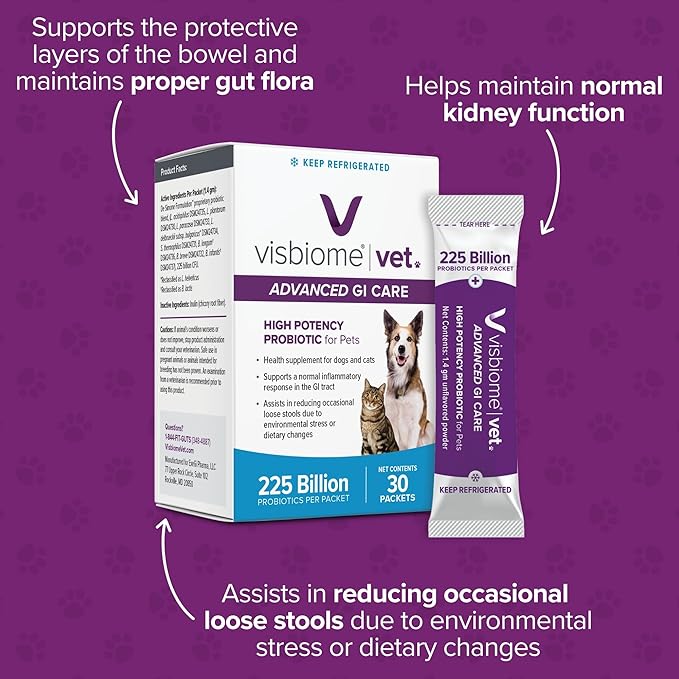 Visbiome® Vet Advanced GI Care High Potency Probiotic for Dogs & Cats – 225B CFU, 8-Strain Formula – Refrigerated, Veterinarian Recommended, Clean Label Certified – 30 Packets