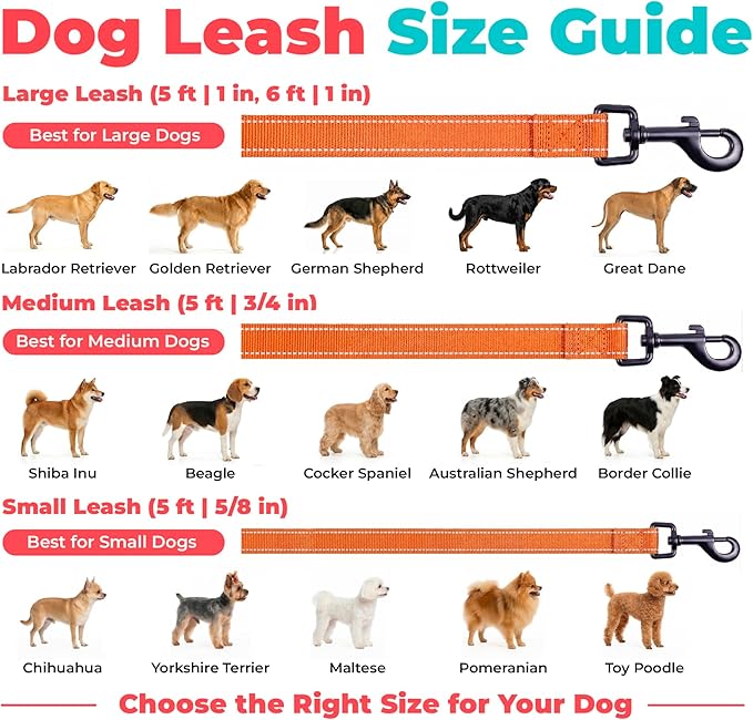 Best Pet Supplies Voyager Reflective Dog Leash or Collar with Neoprene Handle, for Small, Medium, and Large Breed Puppies, Cute and Heavy Duty for Walking, Running and Training - Orange (Leash), S