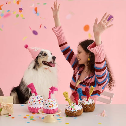LE SURE Dog Birthday Cake Toy - Cute Dog Birthday Cake Squeaky Toy with Interactive Tug Rope, Interactive Chew Toy for Puppy Birthdays Party & Daily Play, XSmall, Pink