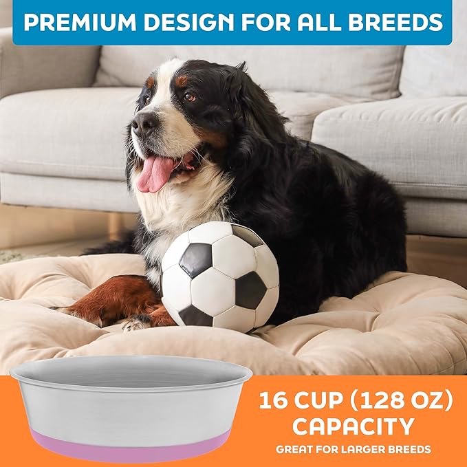 Master Pet Supply Stainless Steel Dog Bowls Set of 2 with Extra Thick Silicone Base - 16 Cup (128 oz) Hyper Pink, Non-Slip, Dishwasher Safe Metal Bowls, Pet Dog Food Bowl for Dogs, Cats, Anti Rust