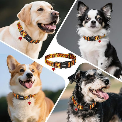 Kazazoo Dog Collar Cute and Soft Nylon Puppy Collar for Boy and Girl, Adjustable Dog Collars for Small Medium Dogs, Maple Leaf-XS