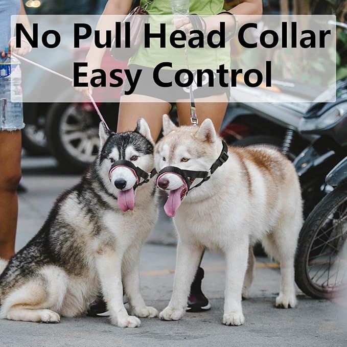 Dog Head Collar with Soft Fabric, Dog Head Harness to Stop Pulling with Adjustable Loop(S,Blue)