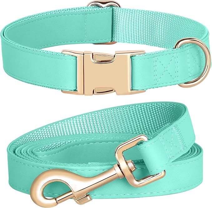 PET ARTIST Soft PU Leather Dog Collar and Leash Set, Bright & Stylish 5FT PU Leather Leash and Collar Set, Durable Pet Collars with Quick Release Metal Buckle for Medium Dogs,Mint Green,M(13-19")