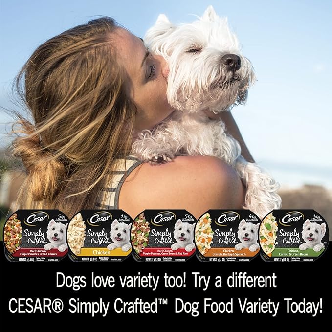 Cesar Simply Crafted Adult Wet Dog Food Toppers for Dry Food,Chicken,1.3 oz Tubs,24 Count (Pack of 2)