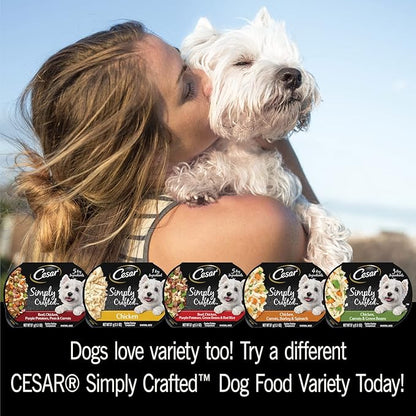 Cesar Simply Crafted Adult Wet Dog Food Toppers for Dry Food,Chicken,1.3 oz Tubs,24 Count (Pack of 2)