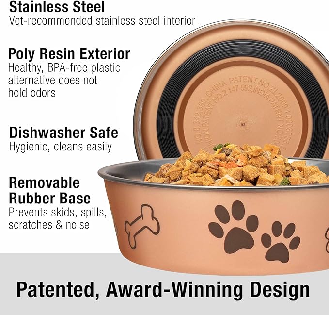 Loving Pets Bella Dog Bowls- Stainless Steel Dog & Cat Bowls - Spill Proof Dog Food Bowl, Cat Bowl, Puppy Essentials & Pet Supplies Great for Home & Travel (Medium 20-35 lbs, Champagne) (Pack of 2)