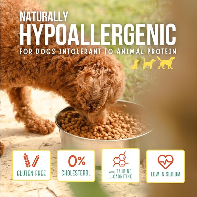 The Green Dog: Super Premium - Puppies - 6.6 Lb Bag Dog Food - Plant Based Protein, Vegan Dry Pet Kibble, Gluten Free, Complete Nutrition