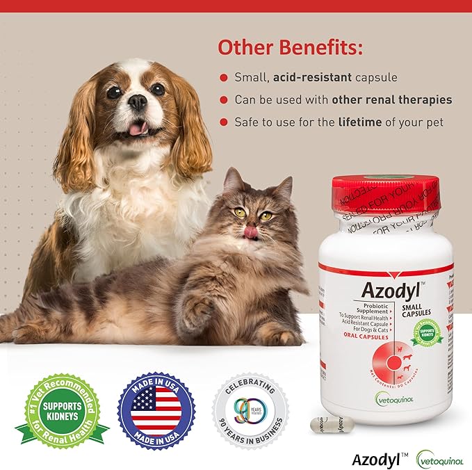Vetoquinol Azodyl - Probiotic Supplement for Dogs & Cats - Offers Renal & Kidney Support for Pets - Easy-to-Swallow, Small Capsules - 90 Count