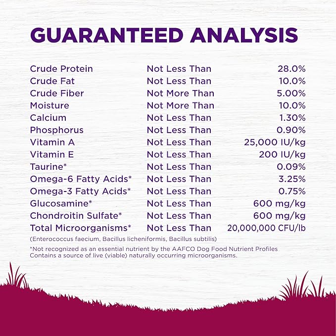 Wellness Complete Health Healthy Weight Small Breed Adult Dry Dog Food, Wholesome Grain Kibble, Natural, Turkey and Brown Rice Recipe, 12 lb Bag