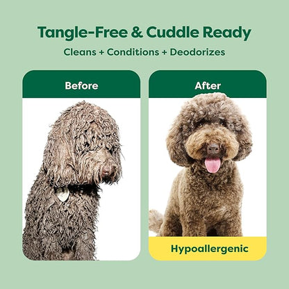 Earth Rated Dog Detangler Shampoo & Conditioner, Hypoallergenic 3-in-1 for Dogs & Puppies, Deodorizing, 98.5% Natural Origin Ingredients, for Doodles & Poodles, 16 oz