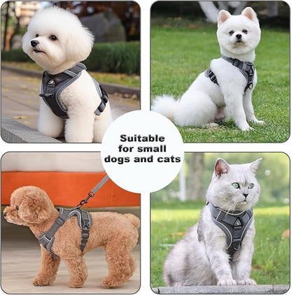 SOLMOONY Small Dog Harness,Soft Mesh Puppy Harness and Leash Set,No Escape Cat Harnesses for Training Walking,Reflective Adjustable Puppy Vest for Small Medium Dogs, Cats (Grey, XL)