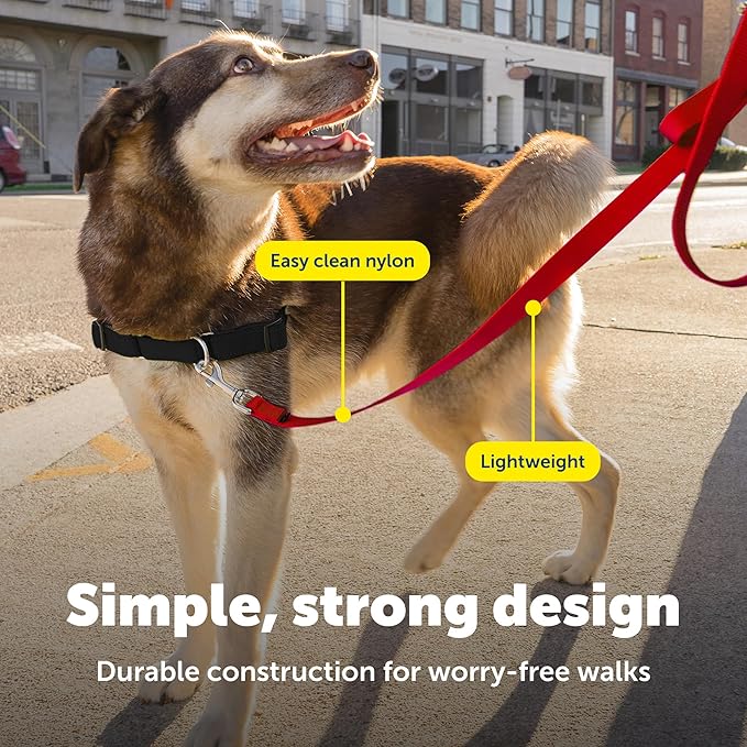 PetSafe Nylon Leash - Everyday Use Dog Leash - Lightweight Nylon - Quick Attach - Durable Pet Lead - 3/4" Wide - 6 Foot - Red