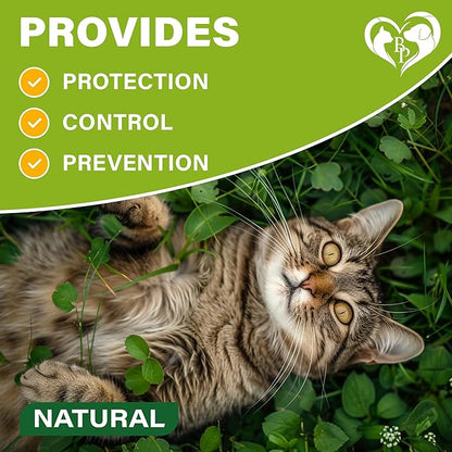 Natural Flea & Tick Collar for Cats - 6 Months Control of Best Prevention & Safe Treatment - Anti Fleas and Ticks Essential Oil Repellent (1 Pack)