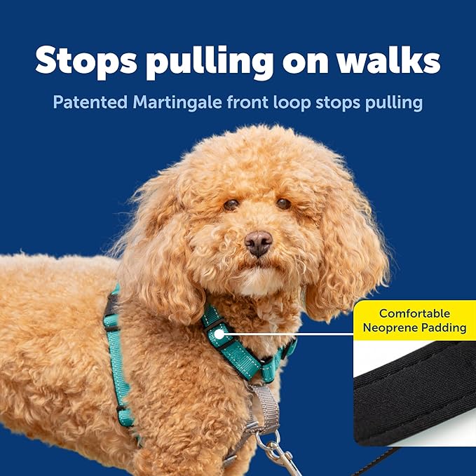 PetSafe 3-in-1 Harness - Comfortable Easy-Walk Dog Chest Harness with Front Leash Attachment to Reduce Pulling, Choking & Gagging - Dog Obedience Gear - Small - Teal