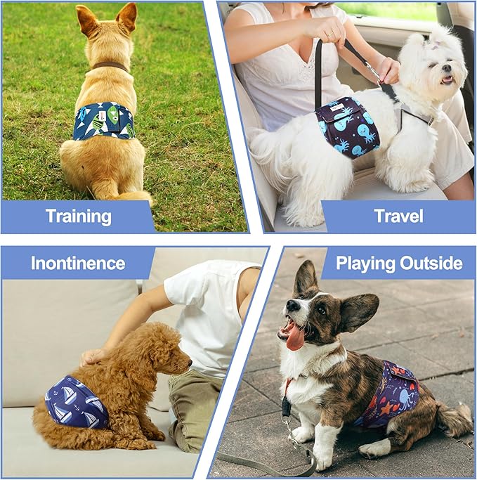 5 Pack Dog Diapers Male Reusable, Premium Belly Bands for Male Dogs, High Absorbing Male Dog Pee Wraps for Doggie in Incontinence or Excitable Urination and Training XS