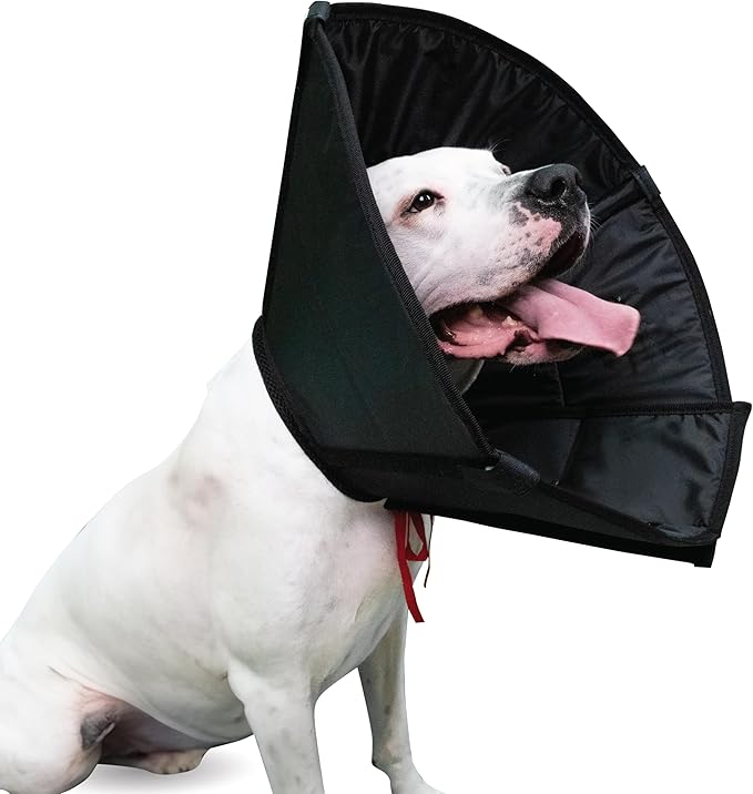 Dog Cone Collar Adjustable After Surgery, Protective Soft Dog Cone, Elizabethan Dogs Collar (Black, L [Neck Girth: 14.9"-19.3"])