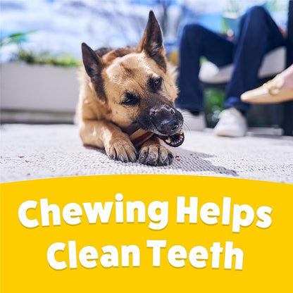 Purina Busy with Beggin’ Twist’d Adult Dog Chew Bone Treats - (Pack of 6) 2 ct. Pouches