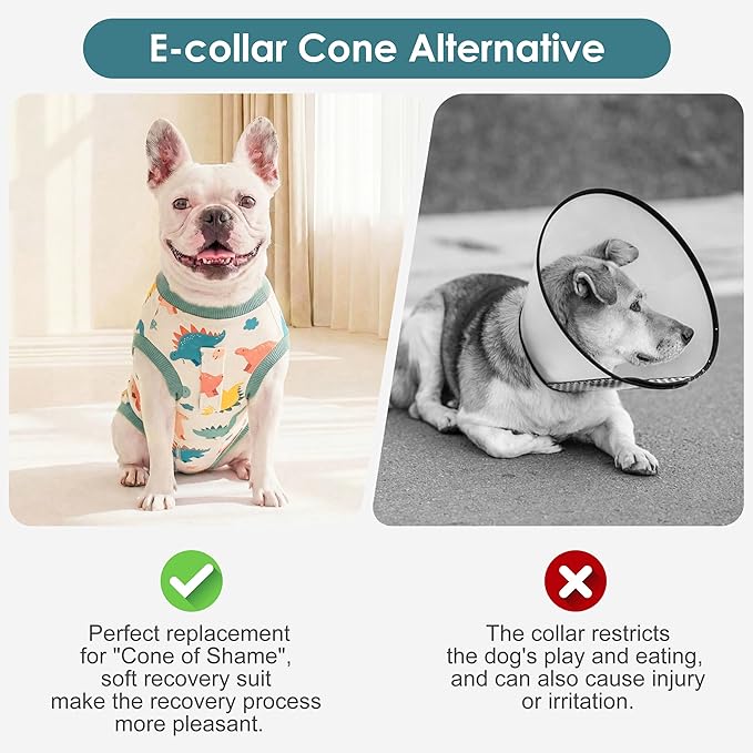 cyeollo Dog Surgery Recovery Suit, Spayed Neuter Body Suit for Female Male Dogs, Soft Small Onesie for Dogs After Surgery, E-Collar & Cone Alternative, Anti-Licking Wound Surgical Suit, Dinosaur M