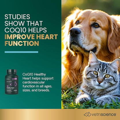 Vetri-Science VETRISCIENCE Coenzyme Q10 for Dogs and Cats, 10mg, 100 Capsules - Cardiovascular and Gum Health CoQ10 Supplement for Pets