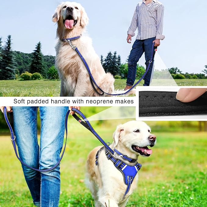 WINSEE Pet Harness Collar and Leash Set, All-in-one Reflective Dog Harness No Pull with Adjustable Buckles for Puppies, Small, Medium, Large, and Extra-Large Dogs (Large, Dark Blue)
