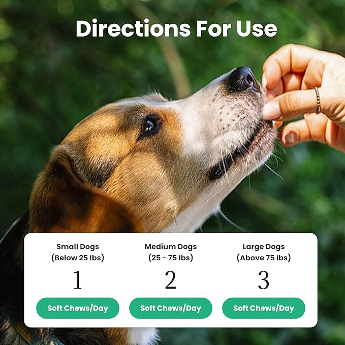 Dog Probiotics and Multivitamin Chews for Allergies, Digestive Health, Immune Support, Gut Health, Allergy Relief, Dog Vitamins, with Vitamin C, Omega 3, Colostrum, 60 Soft Chews per Jar