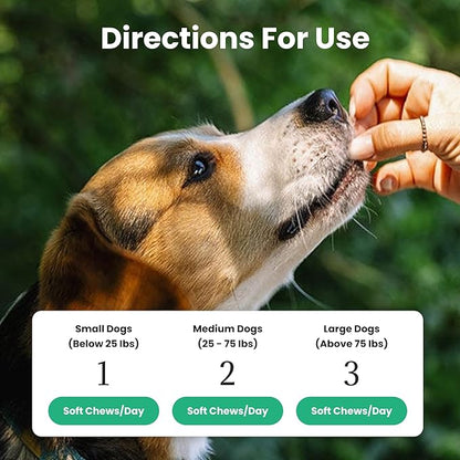 Dog Probiotics and Multivitamin Chews for Allergies, Digestive Health, Immune Support, Gut Health, Allergy Relief, Dog Vitamins, with Vitamin C, Omega 3, Colostrum, 60 Soft Chews per Jar