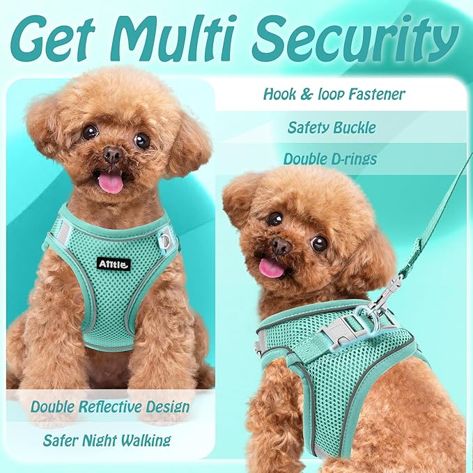 AIITLE Easy Walk Dog Harness and Leash Set - Pet Supply No Pull, Step in Adjustable Dog Harness with Padded Vest, No Choke Over, Easy to Put on Medium Dogs Pure Turquoise L
