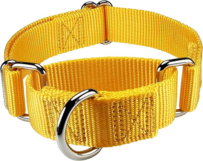 Mikivery Martingale Dog Collar Nylon Adjustable and Safety Training Colourful Comfortable Metal Buckle Pet Collars for Small Medium and Large Dogs(Yellowe,L)