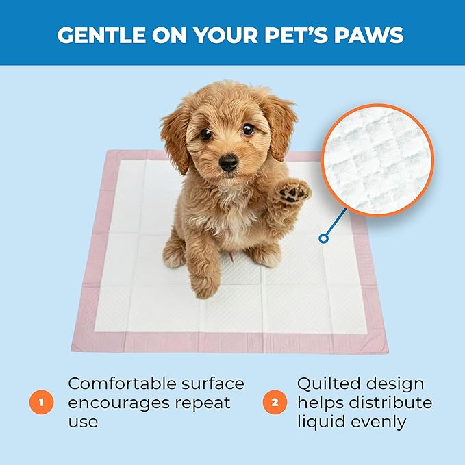 Best Pet Supplies Puppy Pads (22.5 x 22 Inches) - Disposable, Dog Training Potty , Super Absorbent Baby Pink Puppy Pee Pads for Dogs (100 Count)