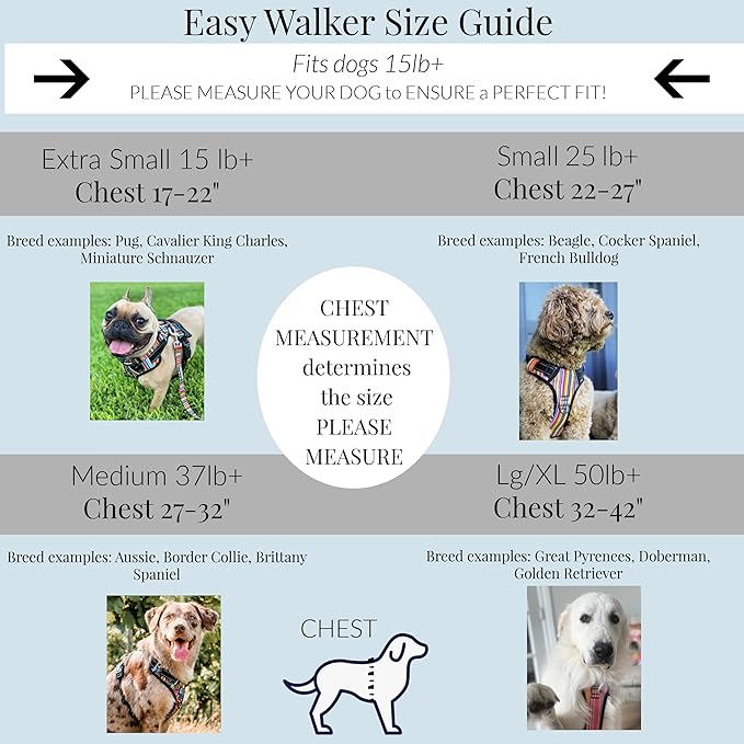 Lucky Love Dog No Pull Dog Harness, Adjustable and Easy to Walk, Cute Patterned Harness for Small Male & Female Dogs - Blackbird, XS