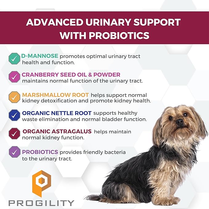 Nootie Progility Mini Urinary Support Supplement for Dogs, Bladder Support and Urinary Tract Support for Dogs with Cranberry and D-Mannose, 60 Soft Chews per Container