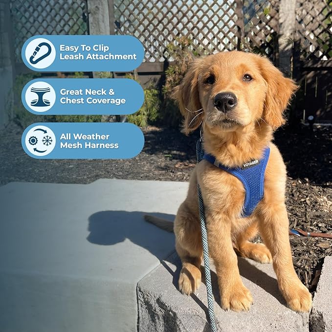 Best Pet Supplies Voyager Step-in Air All Weather Mesh Harness and Reflective Dog 5ft Leash Combo with Neoprene Handle, for Small, Medium and Large Breed Puppies - Set (Royal Blue), Medium