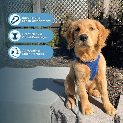 Best Pet Supplies Voyager Step-in Air All Weather Mesh Harness and Reflective Dog 5ft Leash Combo with Neoprene Handle, for Small, Medium and Large Breed Puppies - Set (Royal Blue), Small