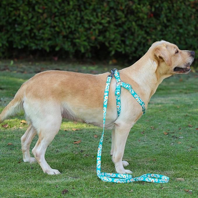 Harness and Leash Set, Floral Pattern, 5ft Matching Leash, No Pull, Easy Wear for Medium Dogs.(M, Green Daisy)