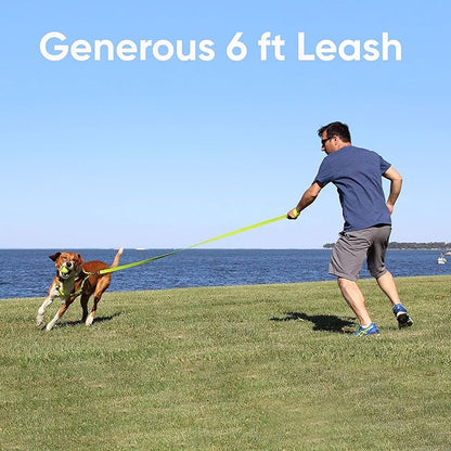 Pawtitas Camo Grey Dog Leash 6 ft XS/S Reflective Durable Lightweight Dog Lead for Small Dogs and Puppies